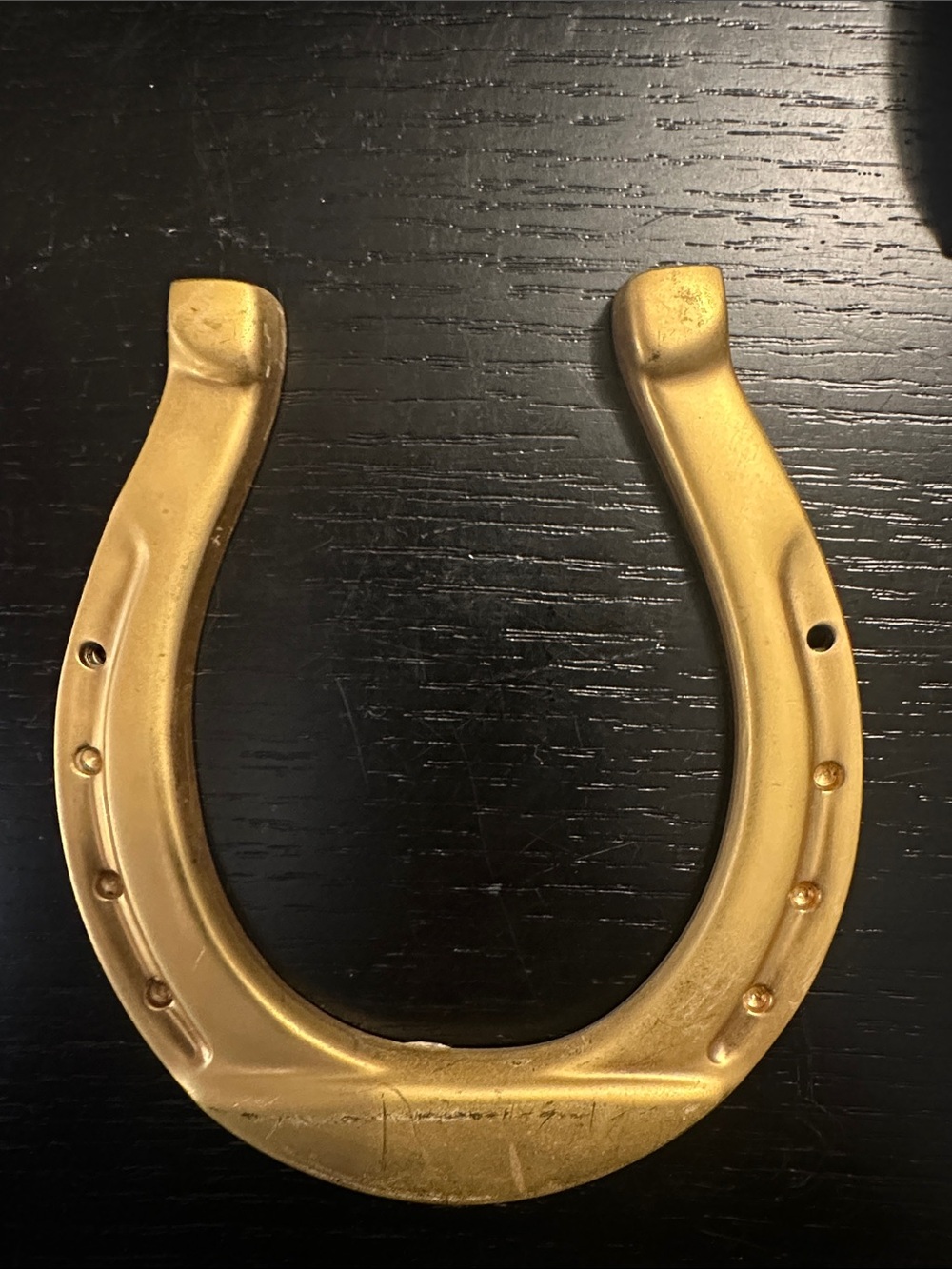 Lucky Horseshoe 24-karat gold electroplated